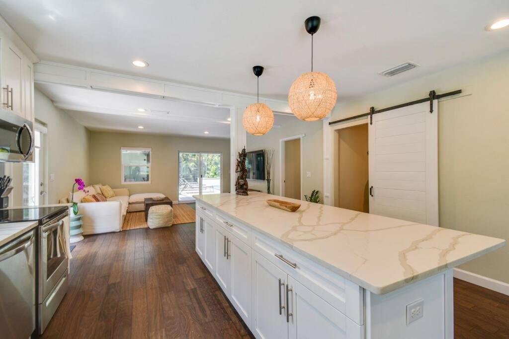 Luxury Home In The Heart Of South Tampa & Pool! Exteriér fotografie