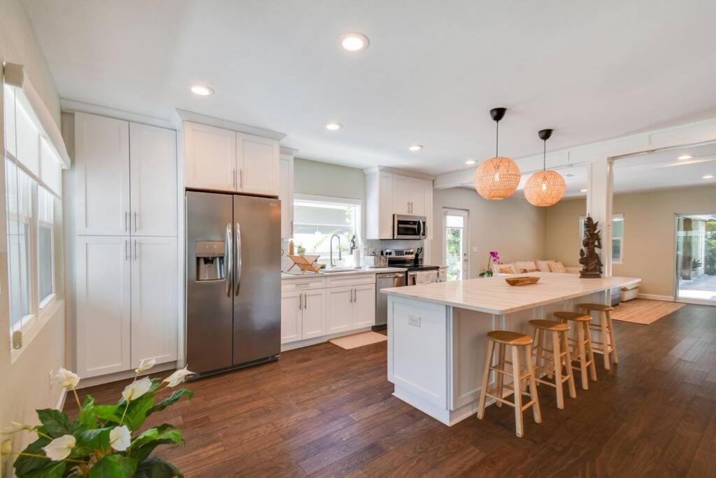 Luxury Home In The Heart Of South Tampa & Pool! Exteriér fotografie