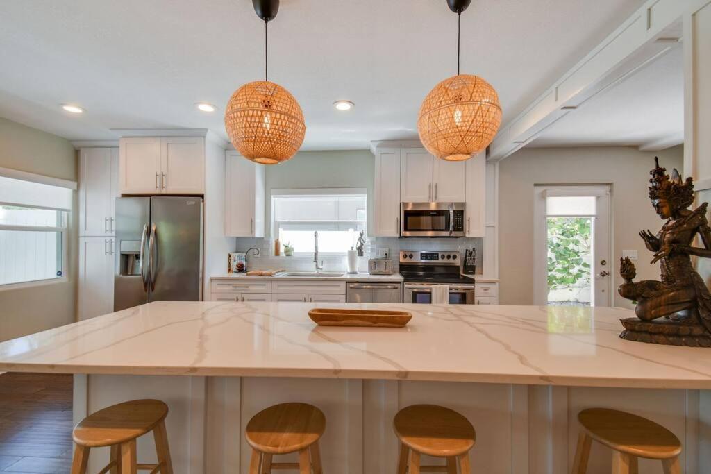 Luxury Home In The Heart Of South Tampa & Pool! Exteriér fotografie
