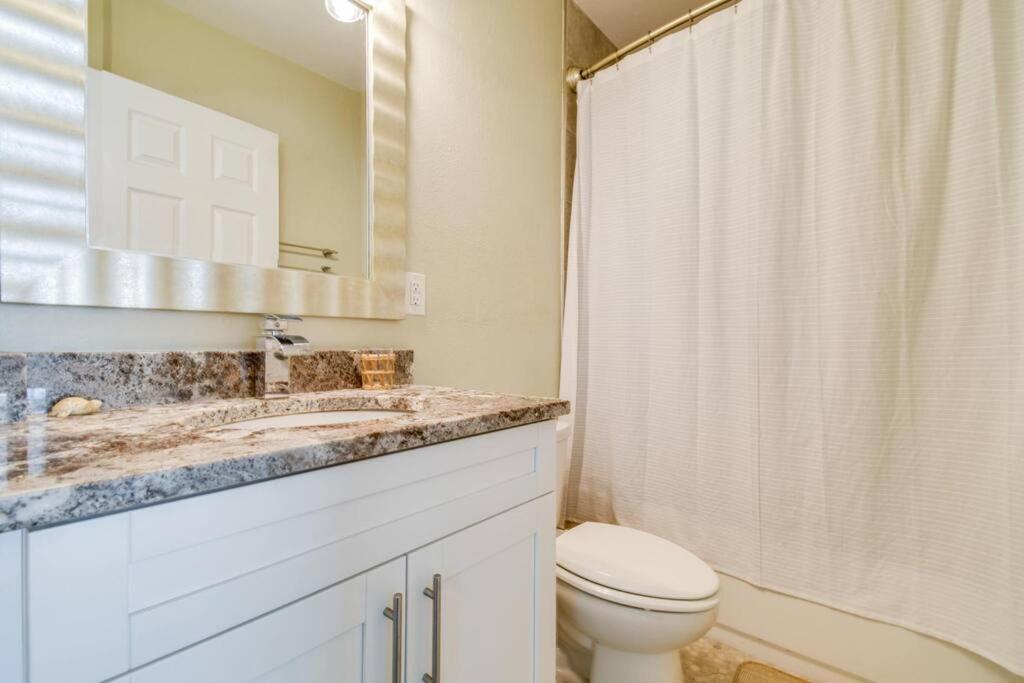 Luxury Home In The Heart Of South Tampa & Pool! Exteriér fotografie